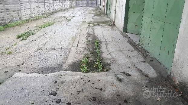 immagine annuncio 2 di 3