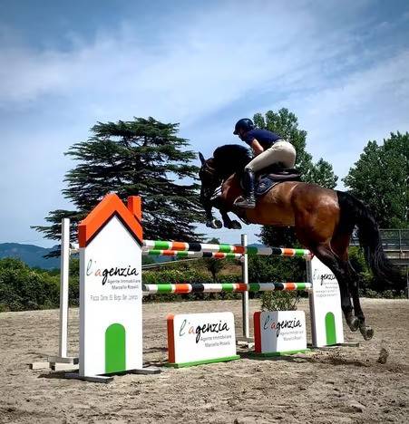 immagine annuncio 2 di 3