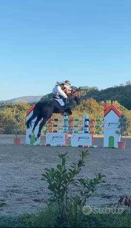 immagine annuncio 2 di 3