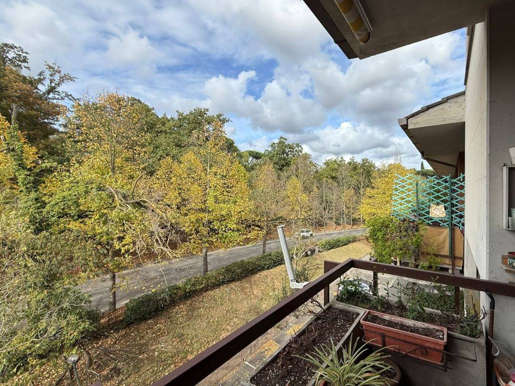 immagine annuncio 3 di 4