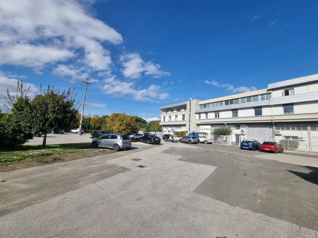 immagine annuncio 2 di 4