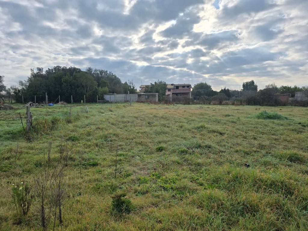 immagine annuncio 1 di 4