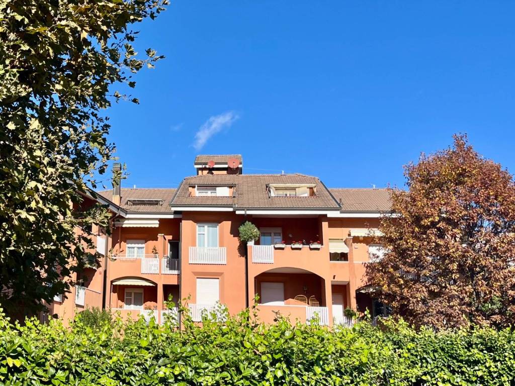 immagine annuncio 2 di 5