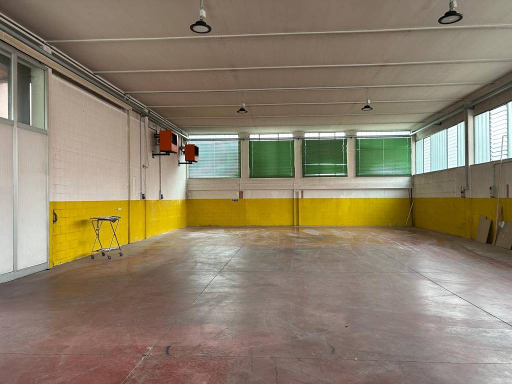 immagine annuncio 4 di 5