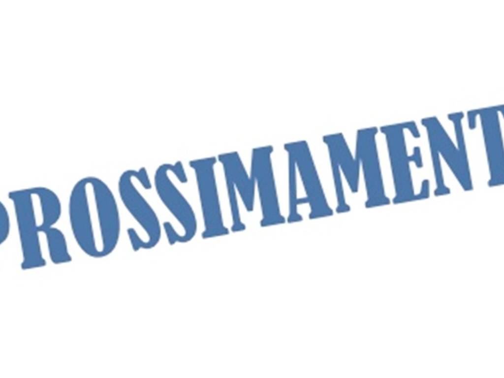 immagine annuncio 1 di 2