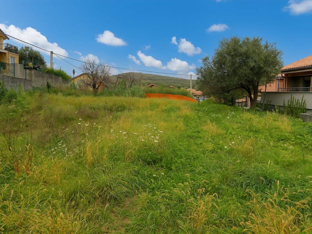 immagine annuncio 1 di 3