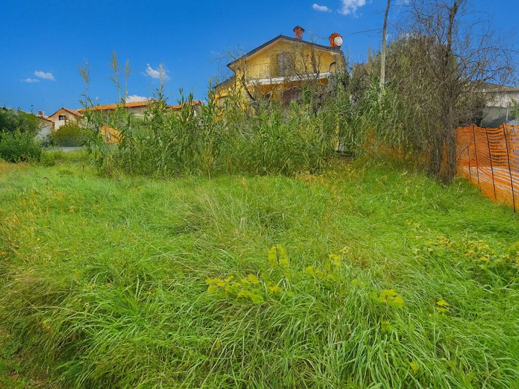 immagine annuncio 2 di 3