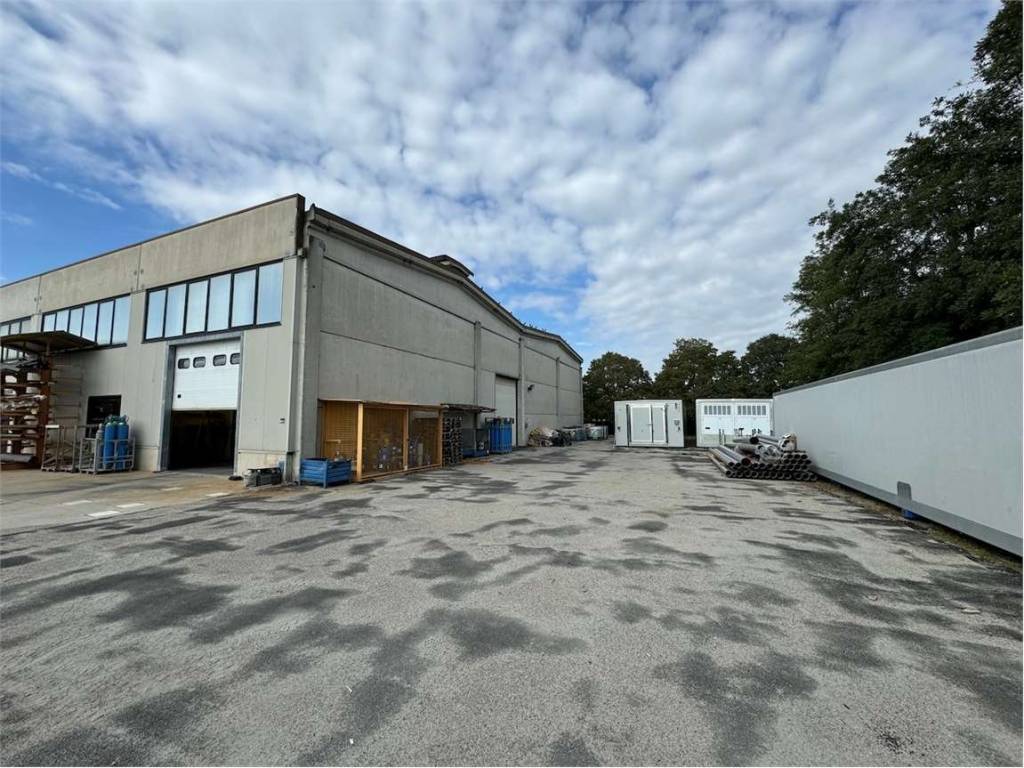 immagine annuncio 2 di 5