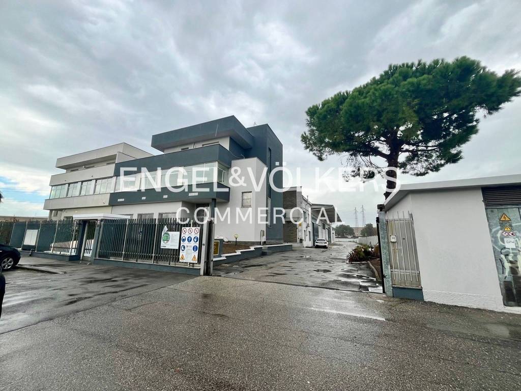 immagine annuncio 1 di 5