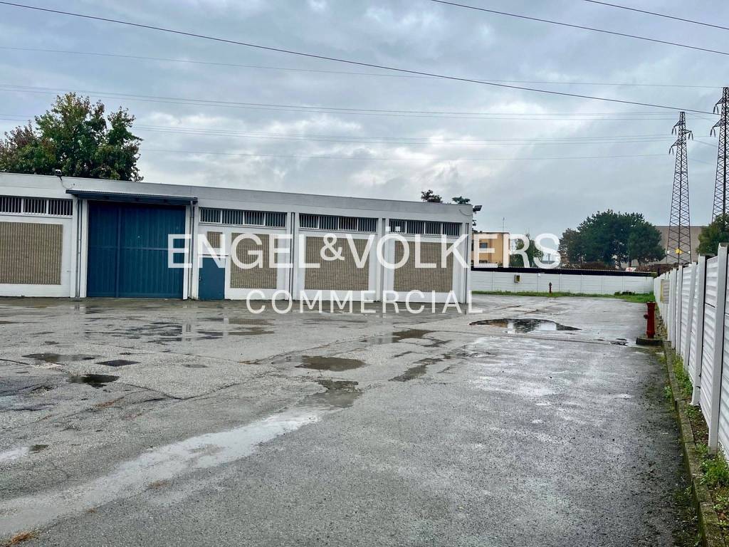 immagine annuncio 2 di 5