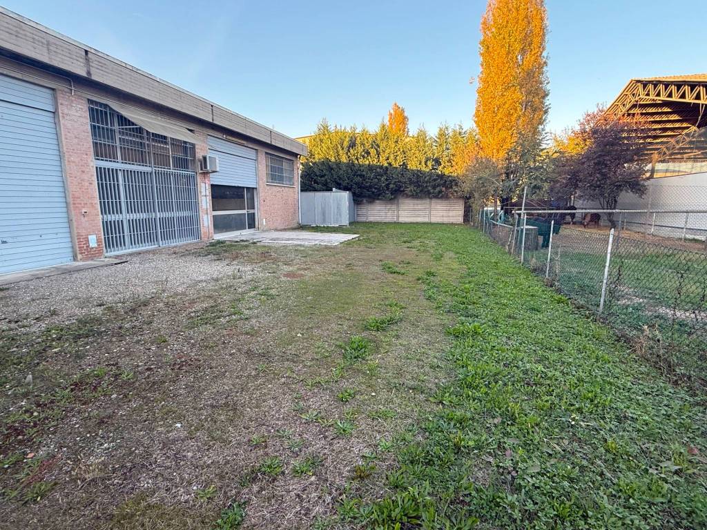 immagine annuncio 2 di 5