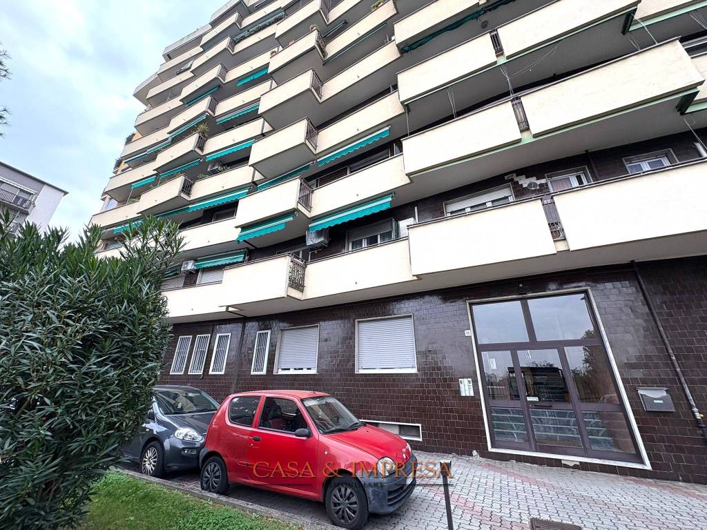 immagine annuncio 3 di 5