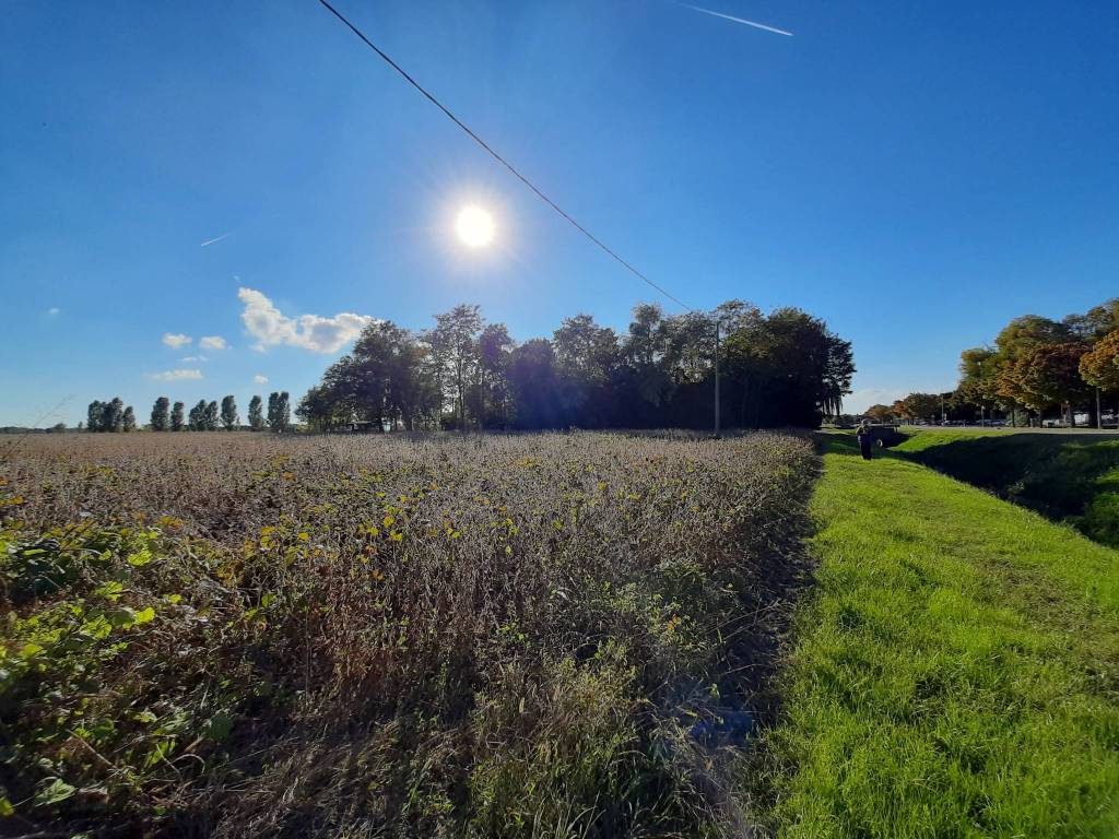 immagine annuncio 2 di 4