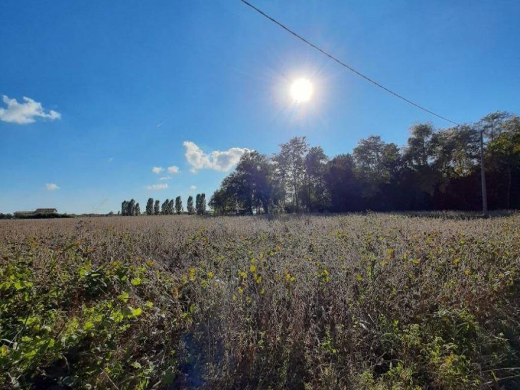 immagine annuncio 3 di 4