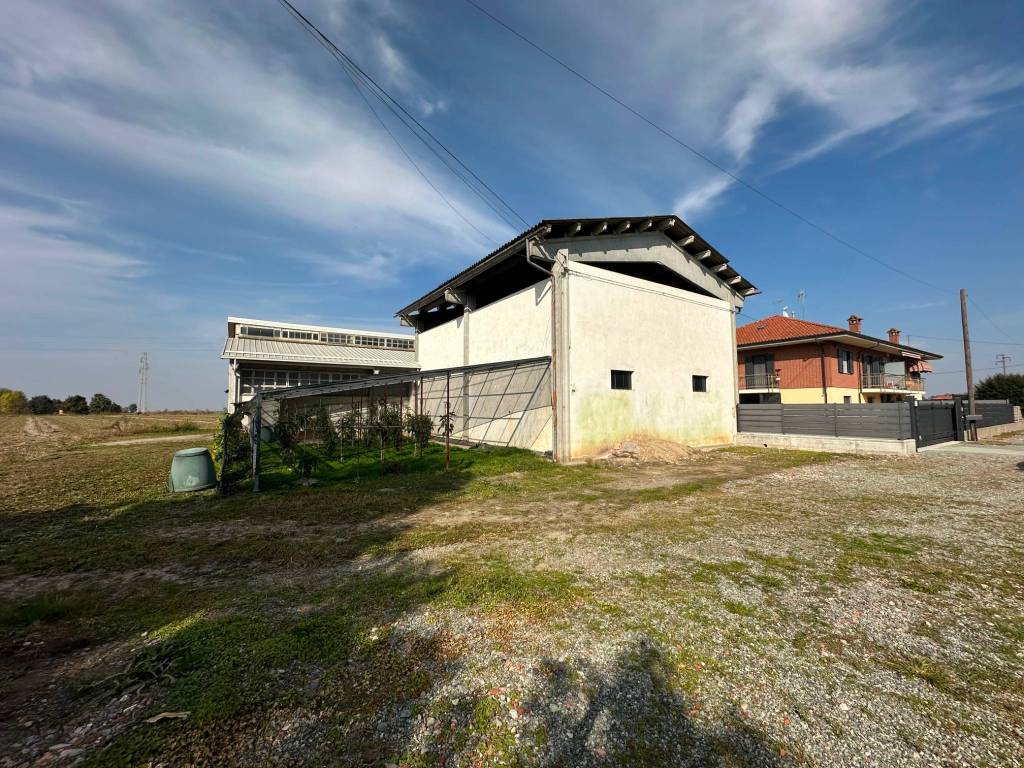 immagine annuncio 3 di 5