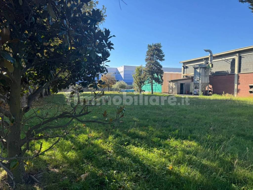 immagine annuncio 3 di 4