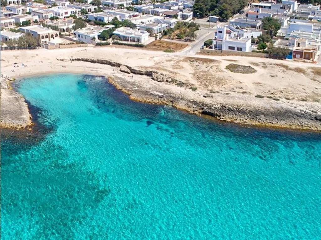 immagine annuncio 1 di 2