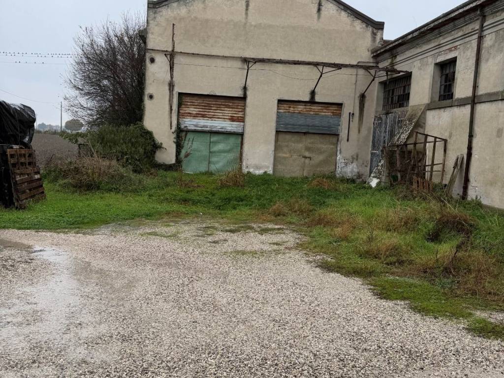 immagine annuncio 2 di 4