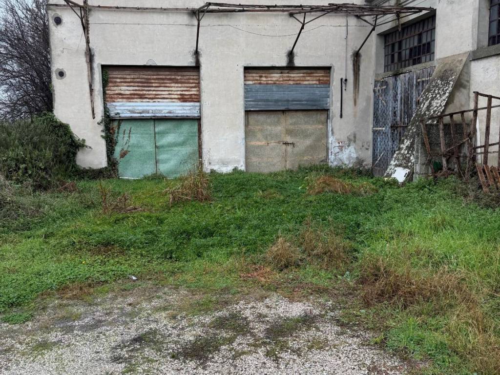 immagine annuncio 1 di 4