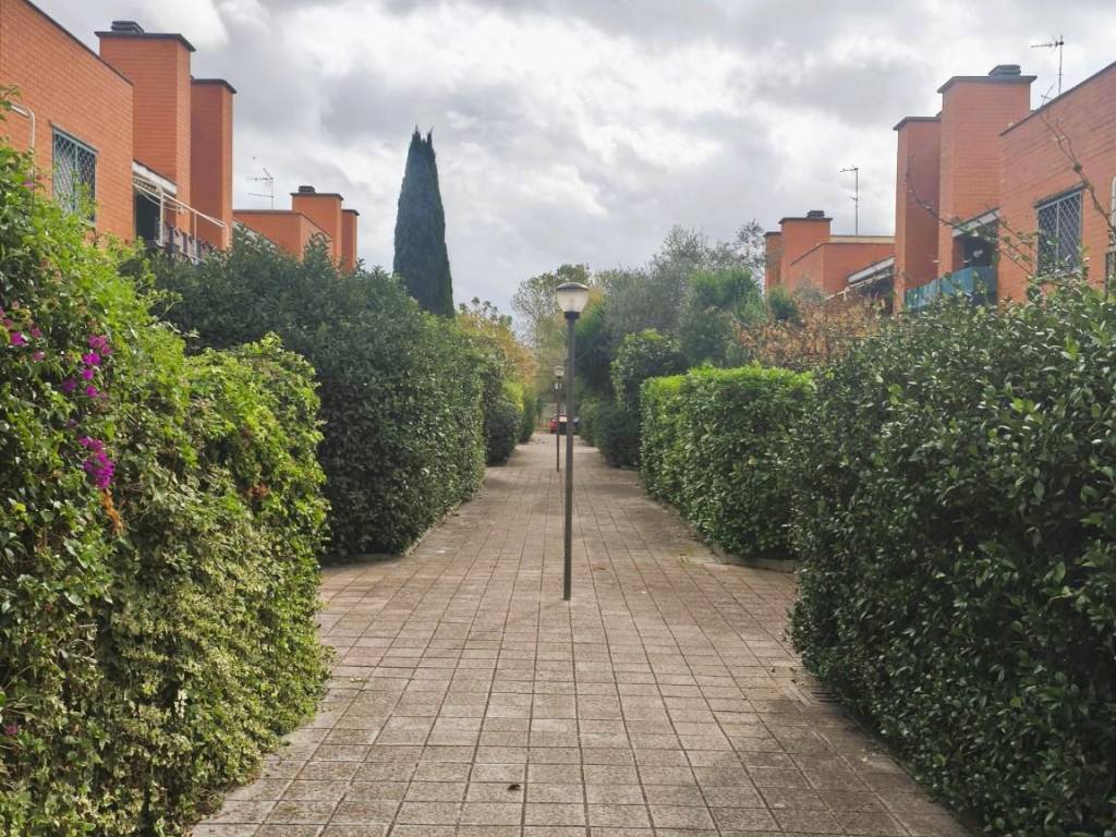 immagine annuncio 1 di 2