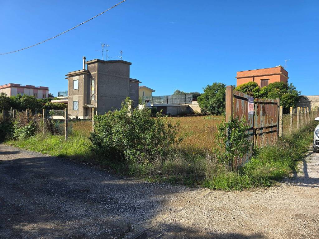 immagine annuncio 2 di 4