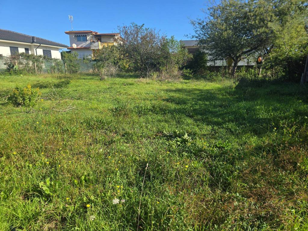 immagine annuncio 1 di 4