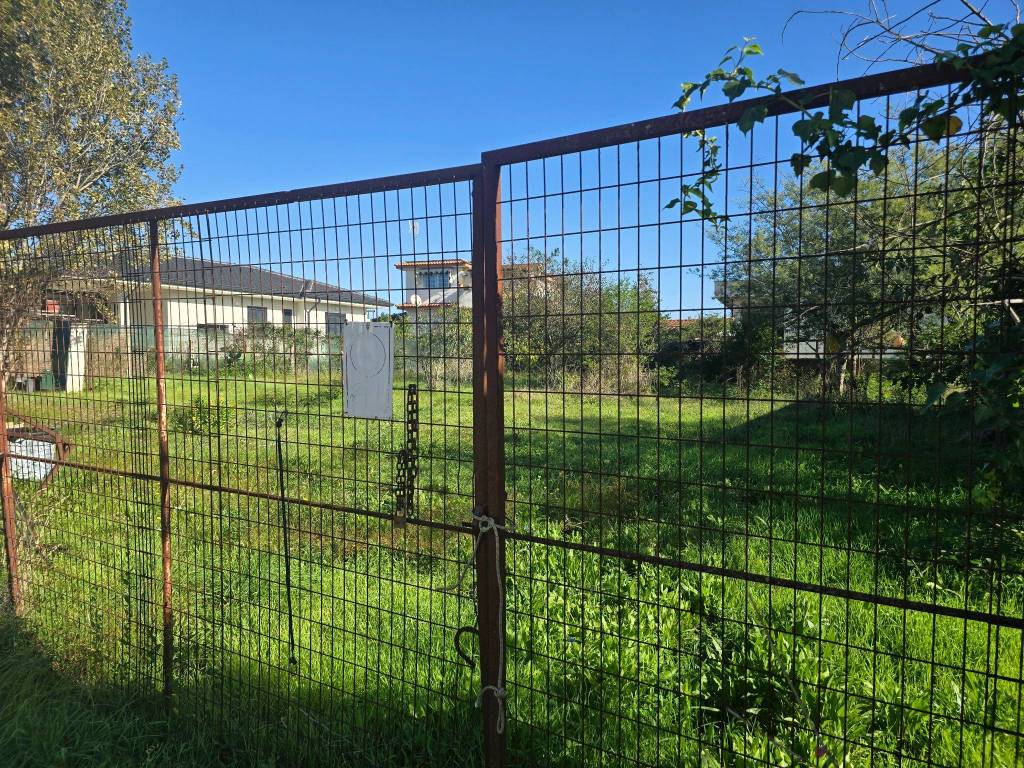 immagine annuncio 2 di 4