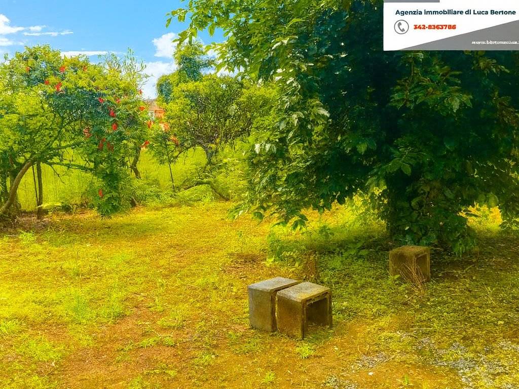 immagine annuncio 2 di 4