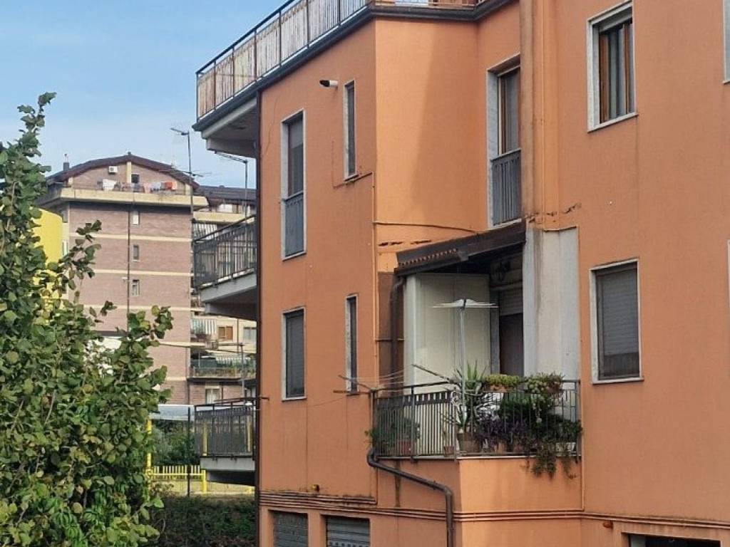 immagine annuncio 2 di 5