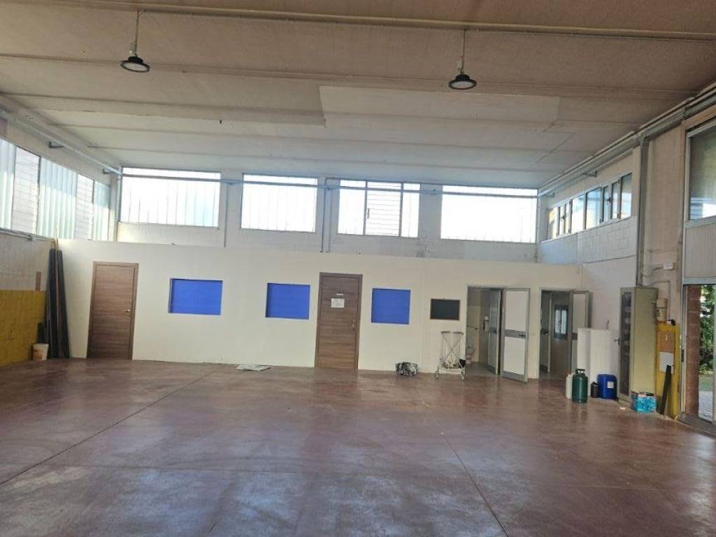 immagine annuncio 3 di 5