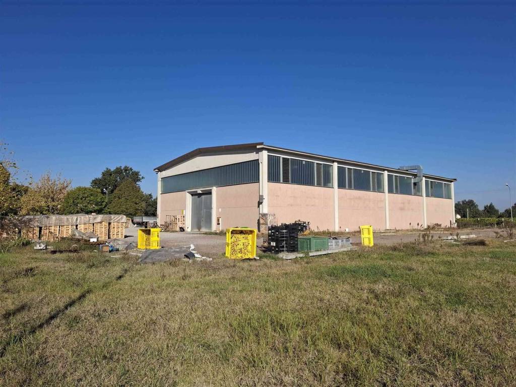 immagine annuncio 3 di 5