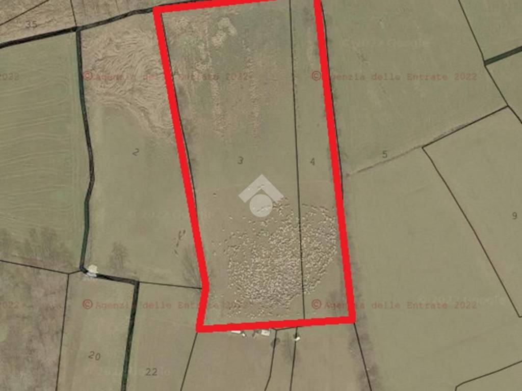 immagine annuncio 1 di 4