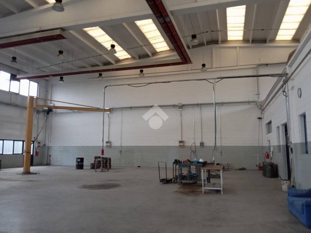 immagine annuncio 2 di 5