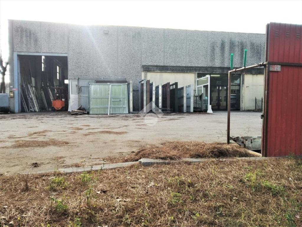 immagine annuncio 2 di 5