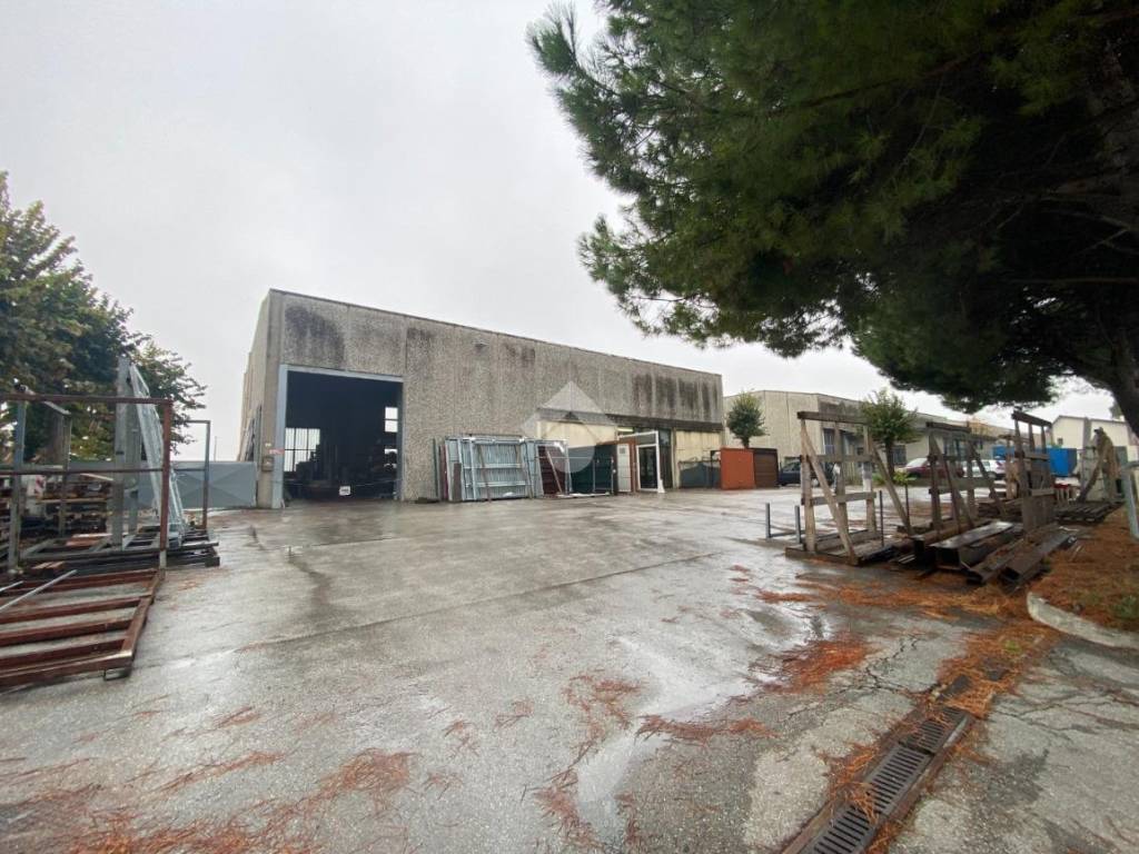 immagine annuncio 4 di 5