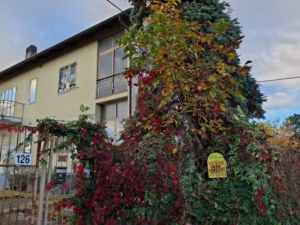 immagine annuncio 3 di 5