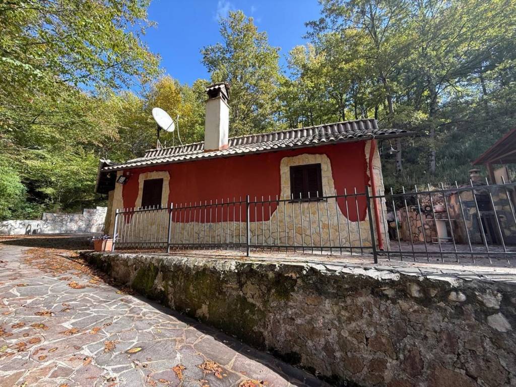 immagine annuncio 3 di 5