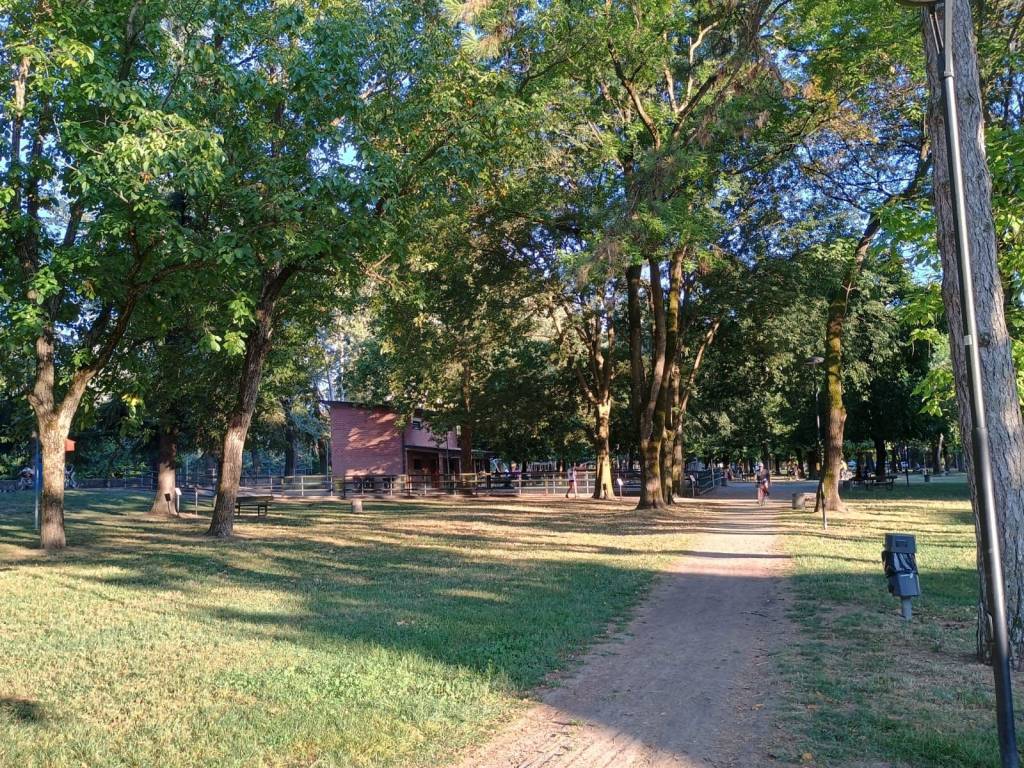 immagine annuncio 3 di 5