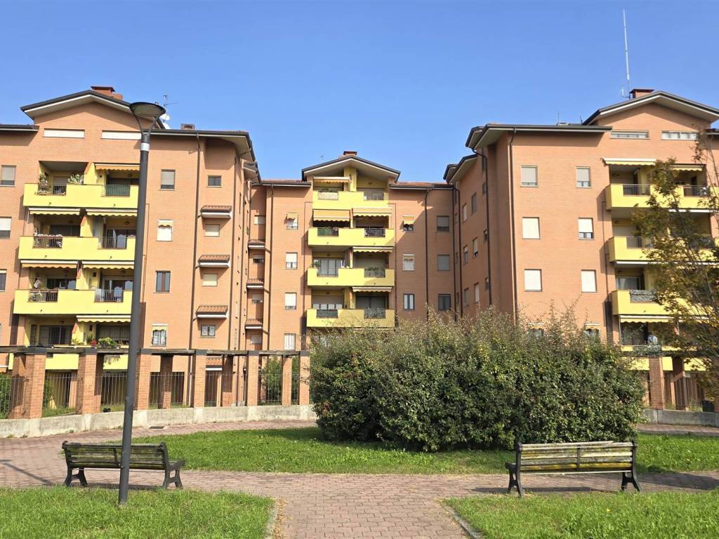 immagine annuncio 2 di 5