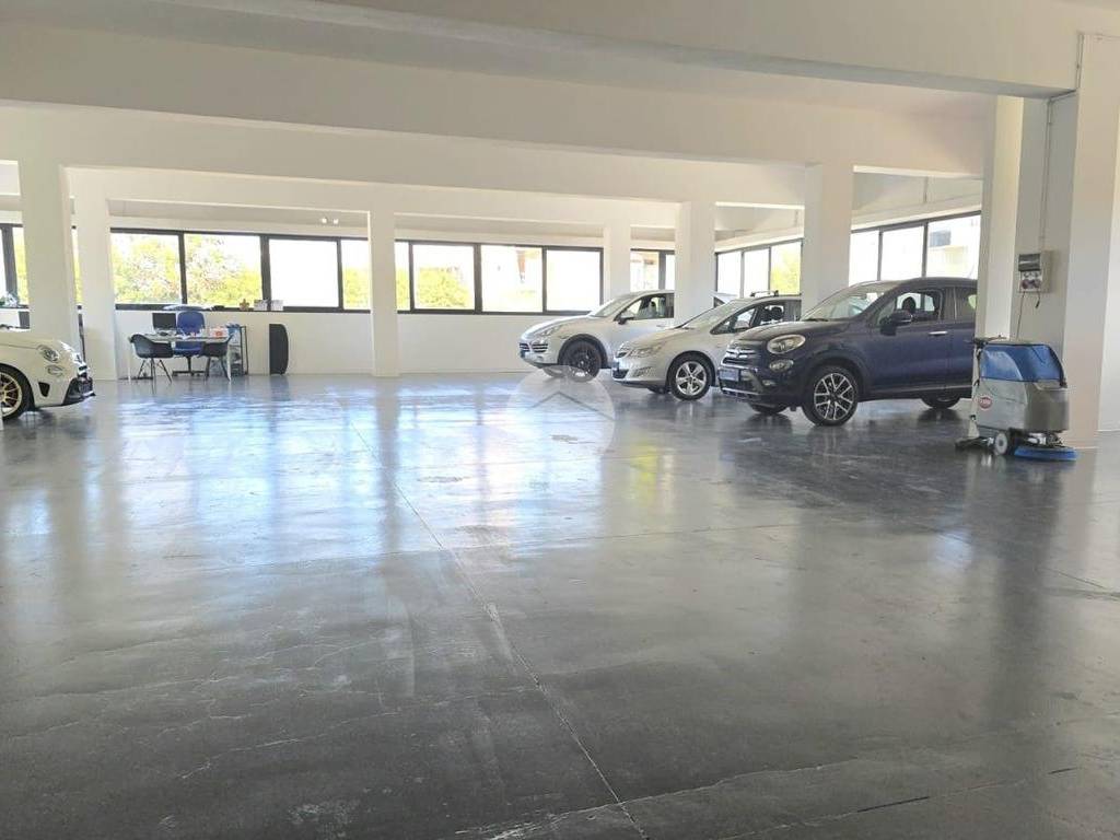 immagine annuncio 3 di 5