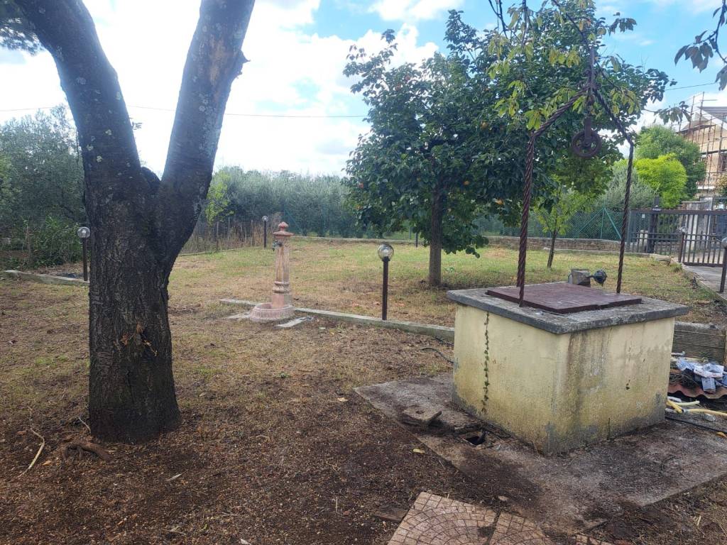 immagine annuncio 1 di 4