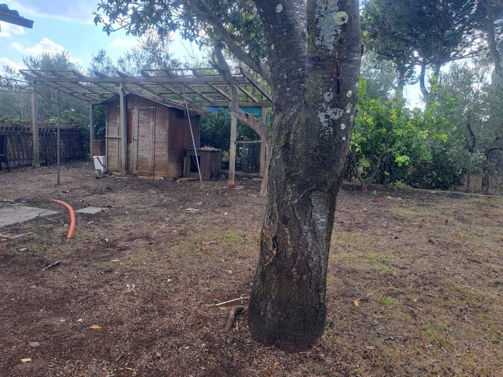 immagine annuncio 2 di 4