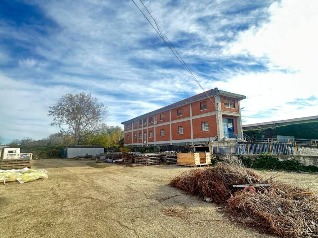 immagine annuncio 1 di 5