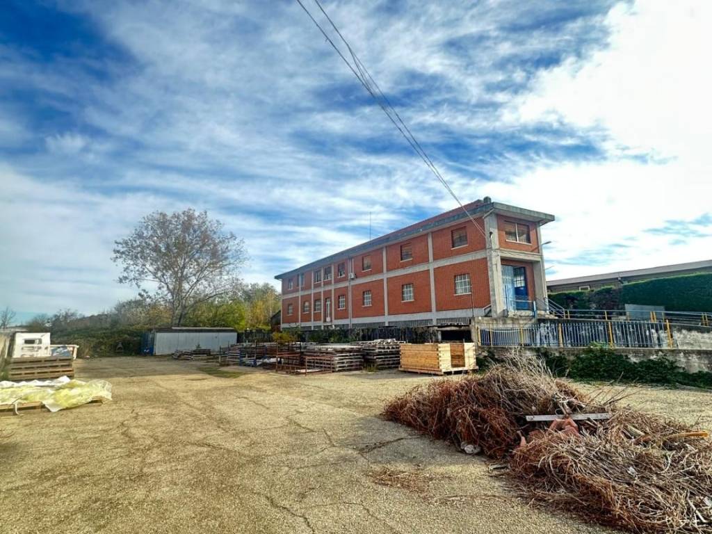 immagine annuncio 2 di 5