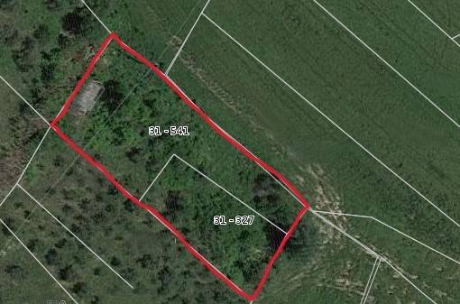 immagine annuncio 3 di 4