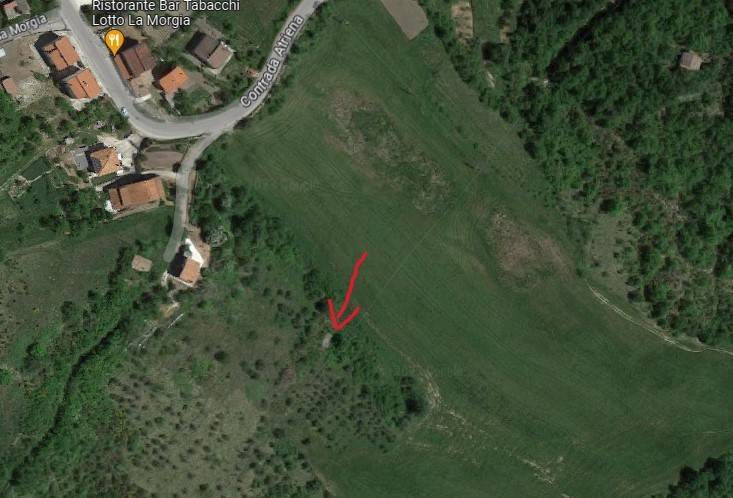 immagine annuncio 2 di 4