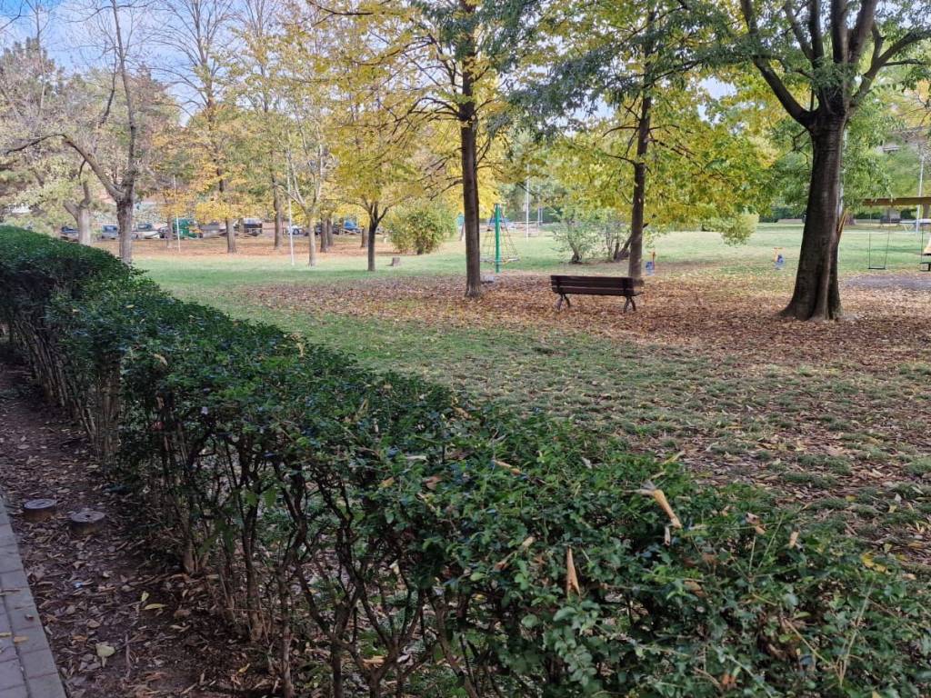 immagine annuncio 1 di 3