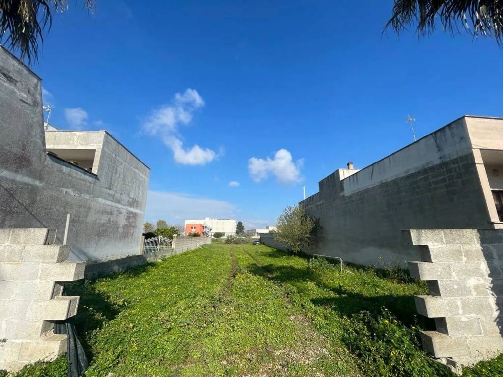 immagine annuncio 3 di 5