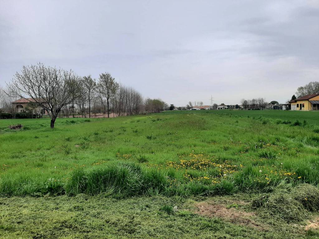 immagine annuncio 3 di 4