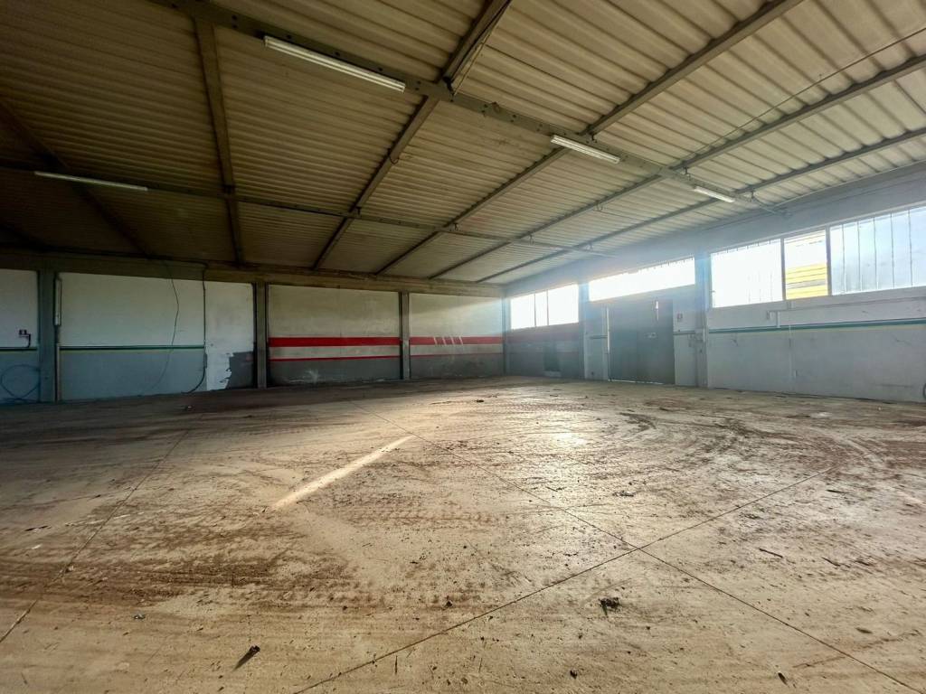 immagine annuncio 4 di 5